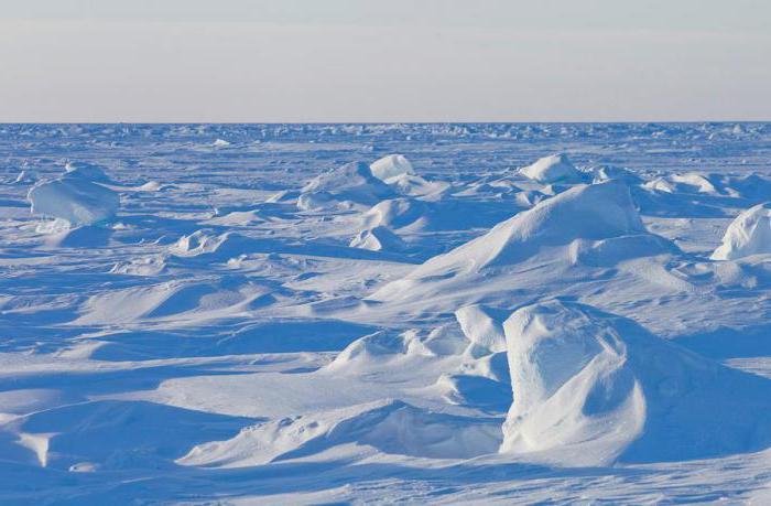 Cambiamento climatico artico