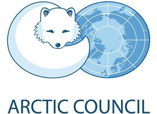 arktyczna rada