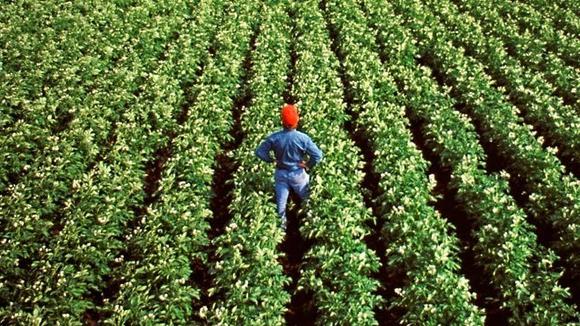 Produktivita práce v zemědělství