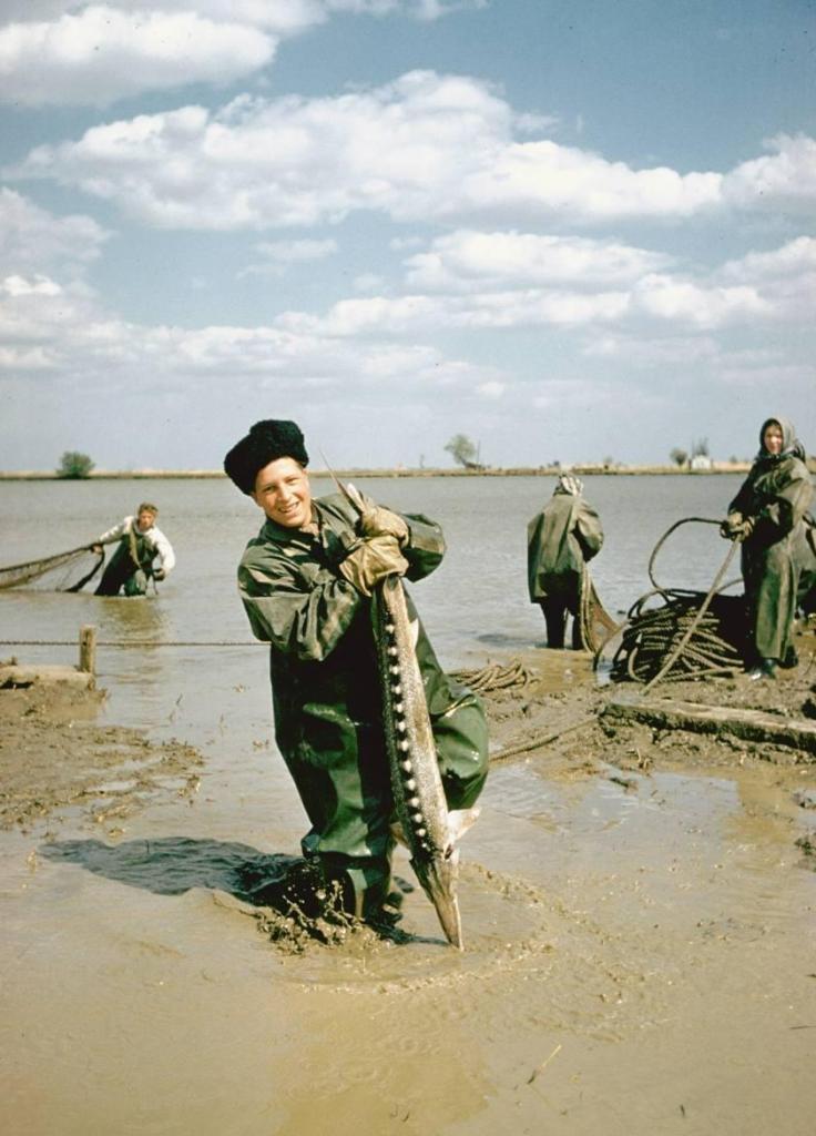 Rybolov v regionu Astrachaň