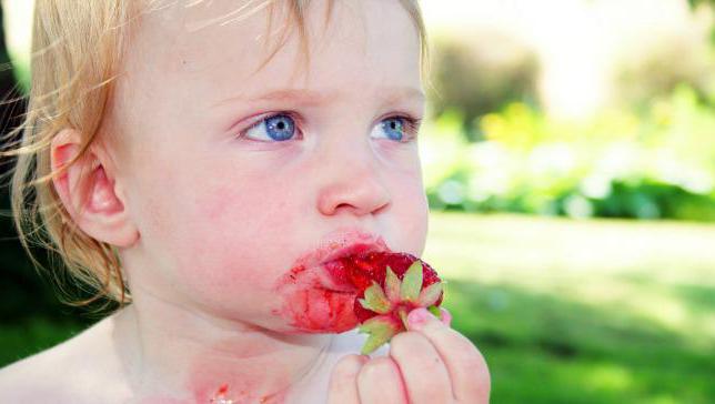 Od jakého věku můžete dítěti dát jahody