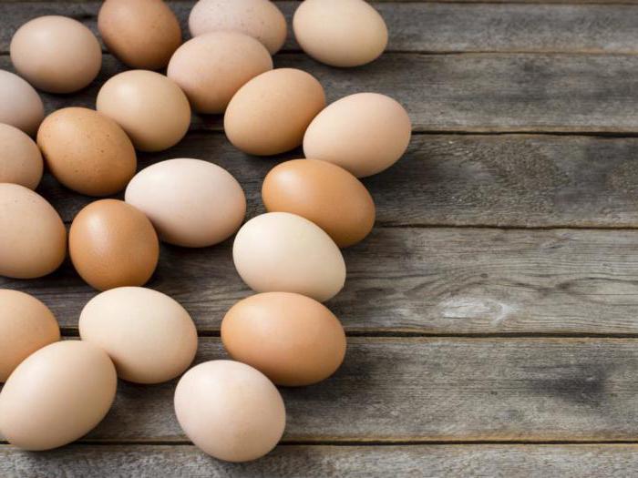 salmonel ve vejcích
