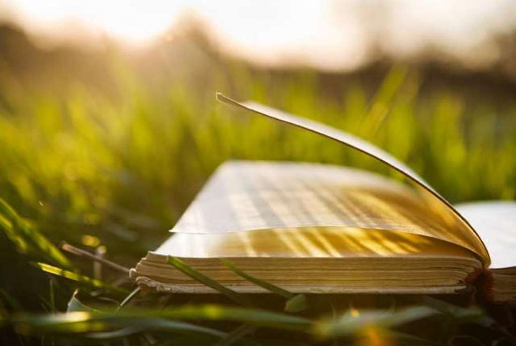 knjiga na travi