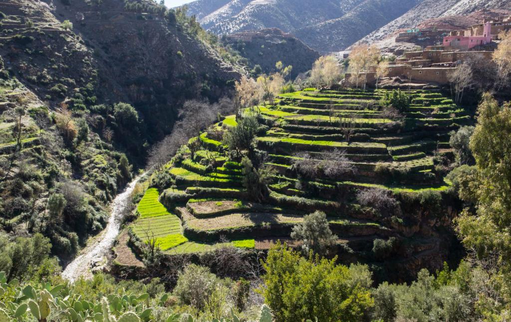 Poljoprivredne terase u planinama Atlas