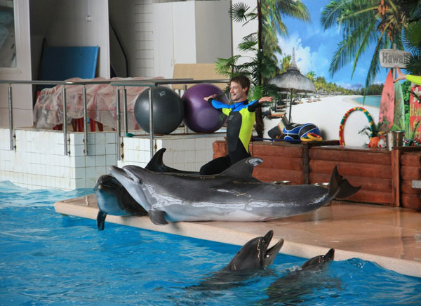 Представяне в делфинариума Набережни Челни