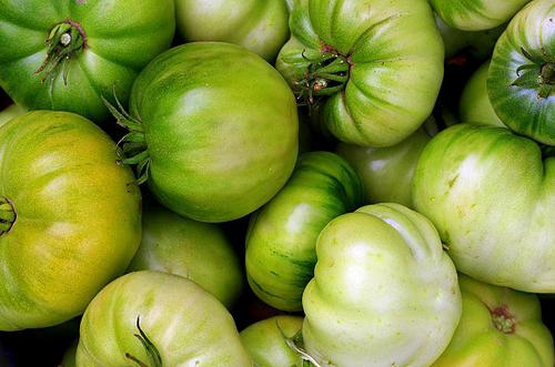 Salát zelených rajčat na zimu