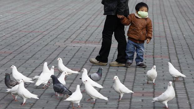 příznaky ptačí chřipky u lidí