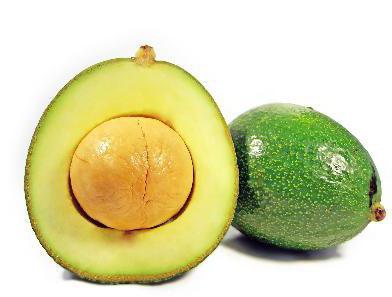 frutto di avocado o verdura