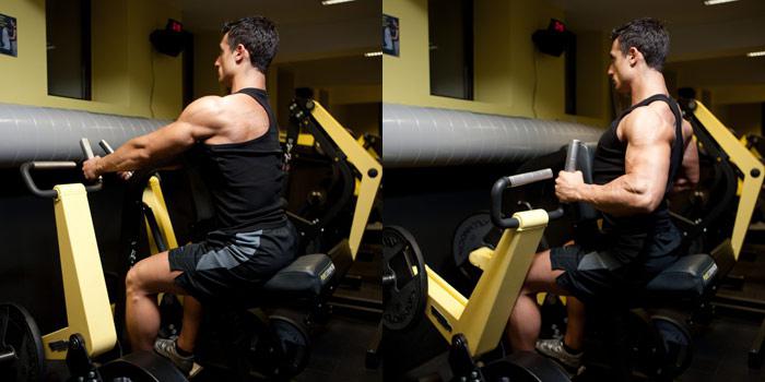 back biceps cvičení