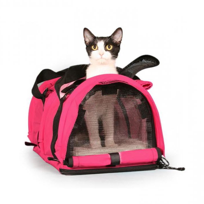 чанта за котки