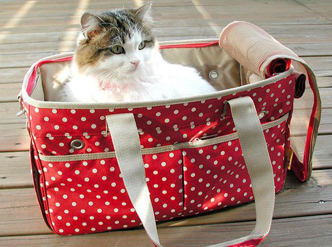 кошница за носене на котка