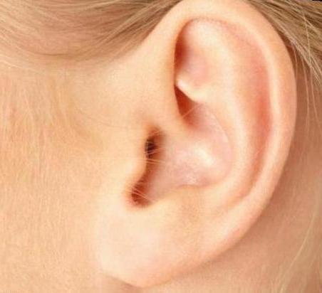 analiza i funkcja analizatora słuchowego