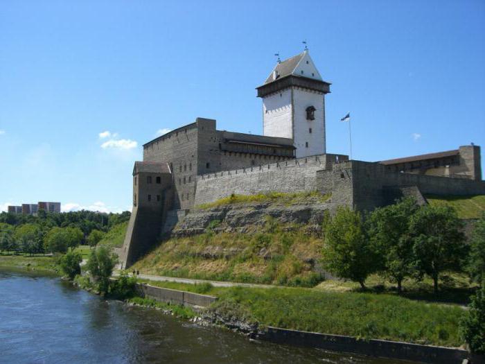 Cause della battaglia di Narva