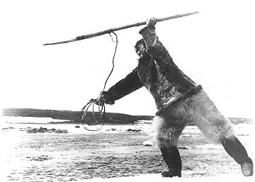 Bear caccia con una lancia