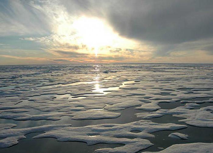 Arktické oceánské moře