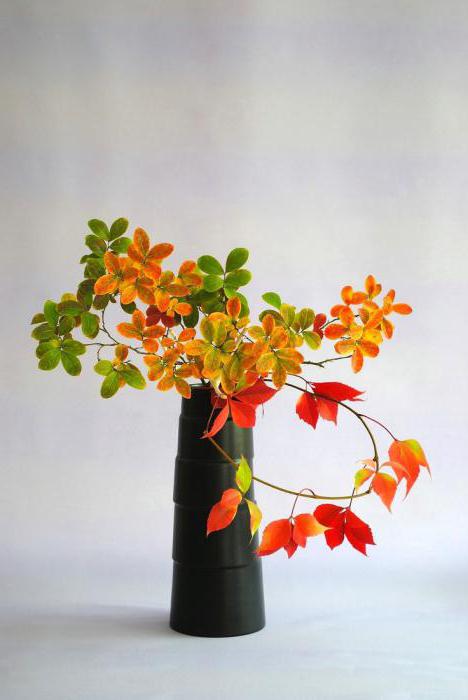 Ekan z listů udělejte sami podzimní fotografii