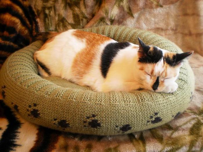 łóżko dla kota ze swetra
