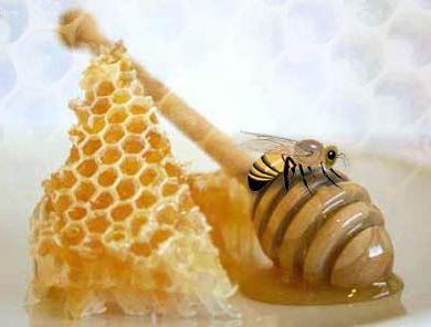 apicoltura del piano aziendale