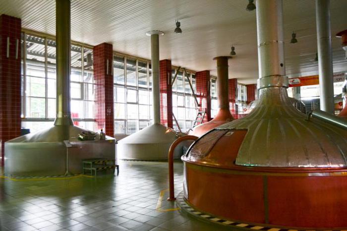 Czernigowski producent piwa