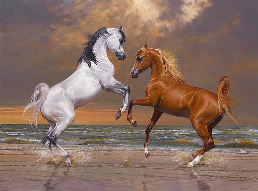 najboljši arabski konji