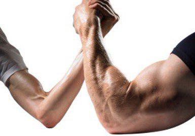 biceps brachii