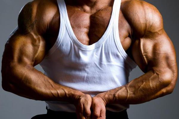 trening bicepsa i tricepsa