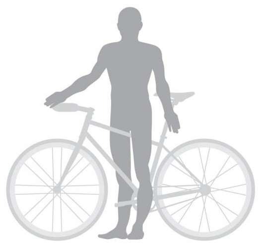 dimensione delle biciclette da donna