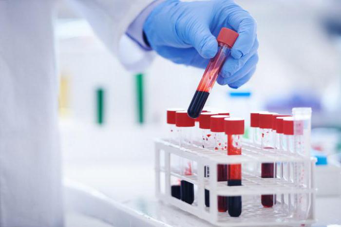 trascrizione srb analisi del sangue biochimica