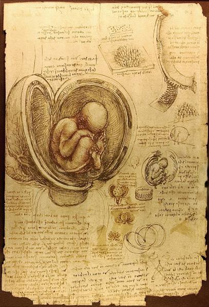 vědy Leonarda da Vinciho