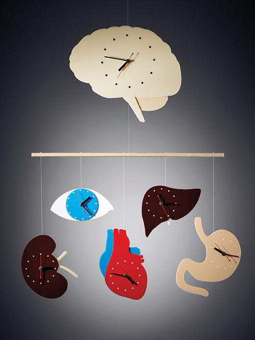 биологичен часовник на органи