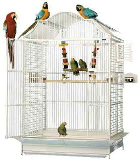 ptičji kavezi