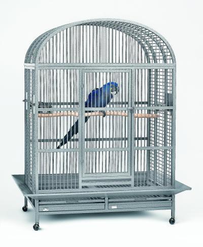 gabbie per uccelli e inventario