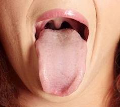 szary język