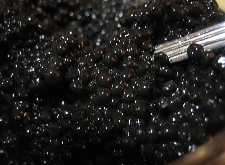 ikra črnega morskega lista