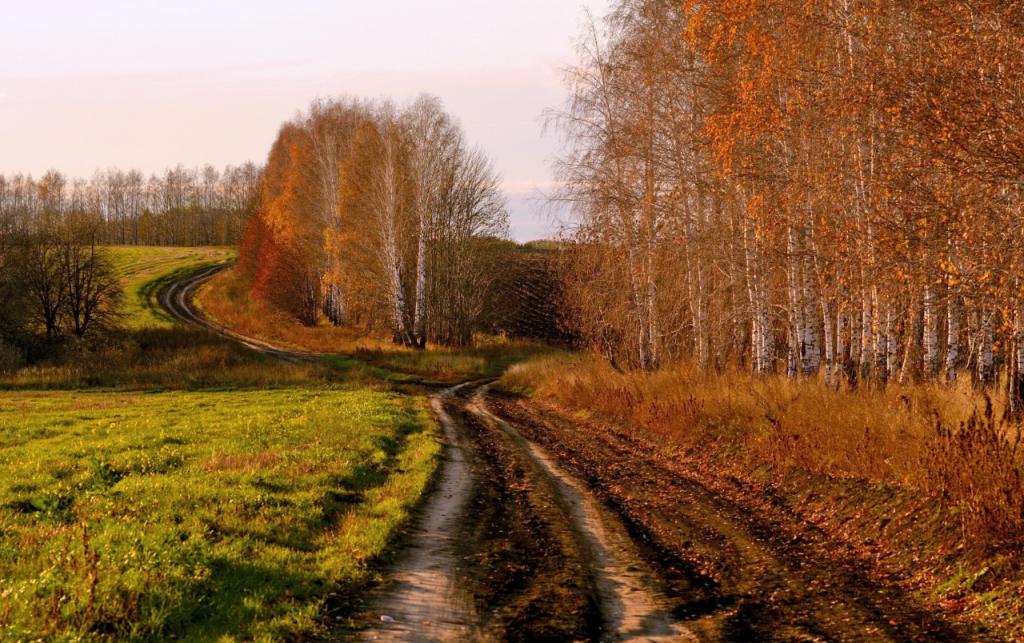 podzimní silnice