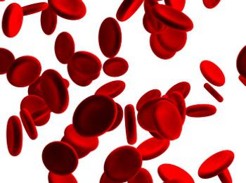 kompatibilitu krevních skupin