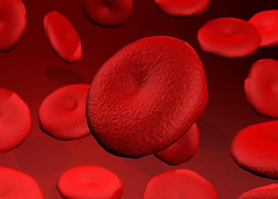 krew w męskim moczu powoduje leczenie