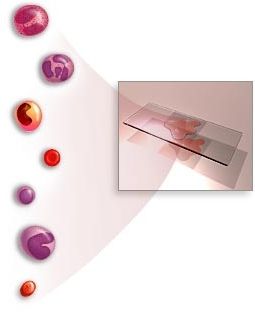 atipične mononuklearne celice krvi