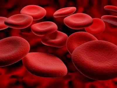 Příznaky infekce krve