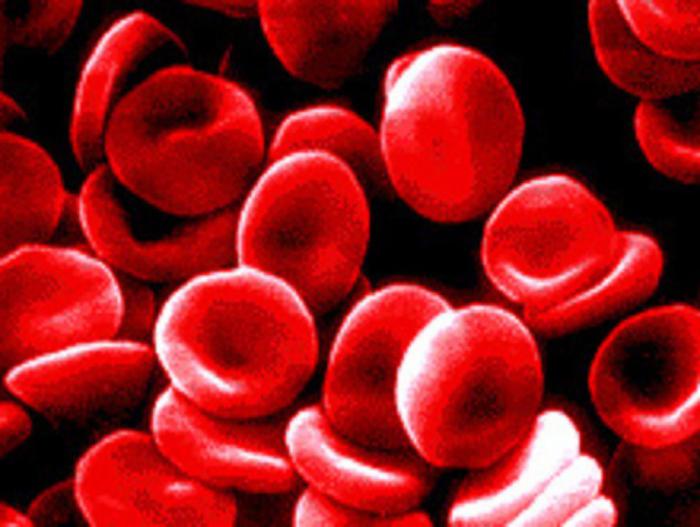 faktor rezusa človeške krvne skupine