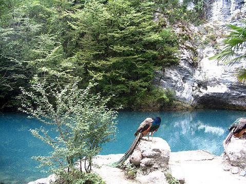 Fotografija s modrim jezerom Abkhazia