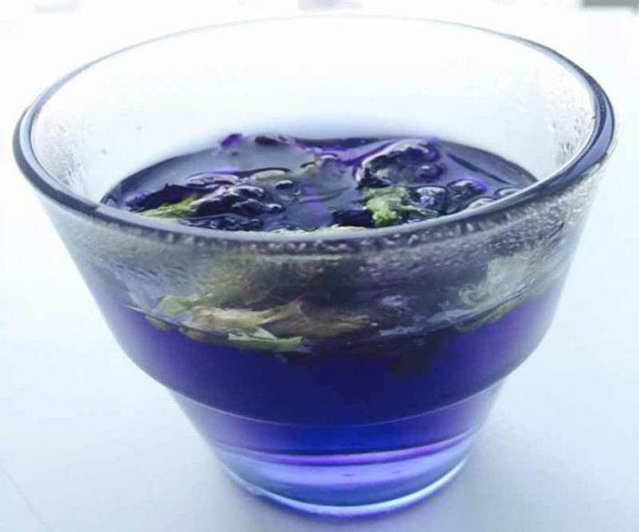 Blue чай от Тайланд полезни свойства мнения