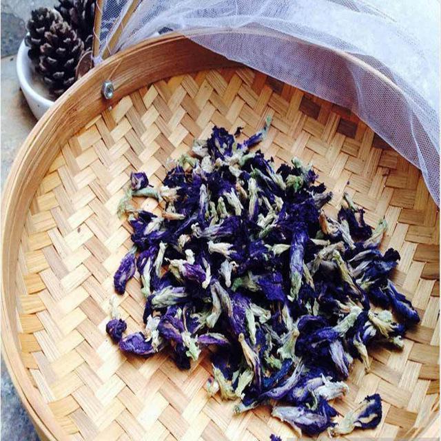 Modrý čaj z Thajska užitečné vlastnosti