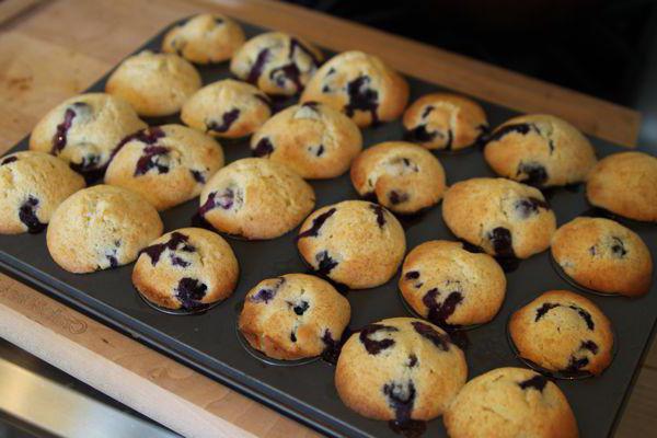 Blueberry Muffins - Fotografija