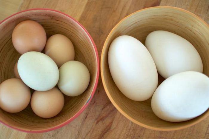 vařené husí vejce dávky a poškození