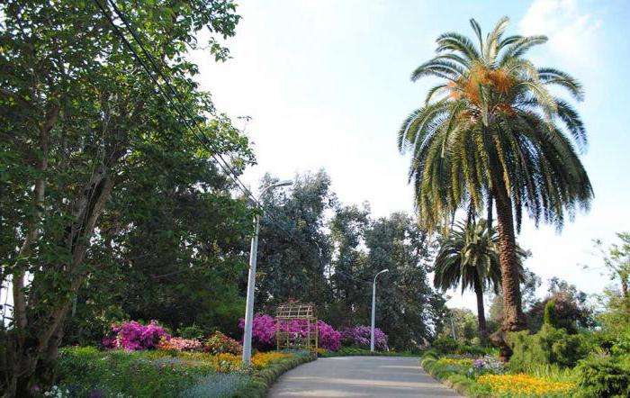 Giardino Botanico di Batumi