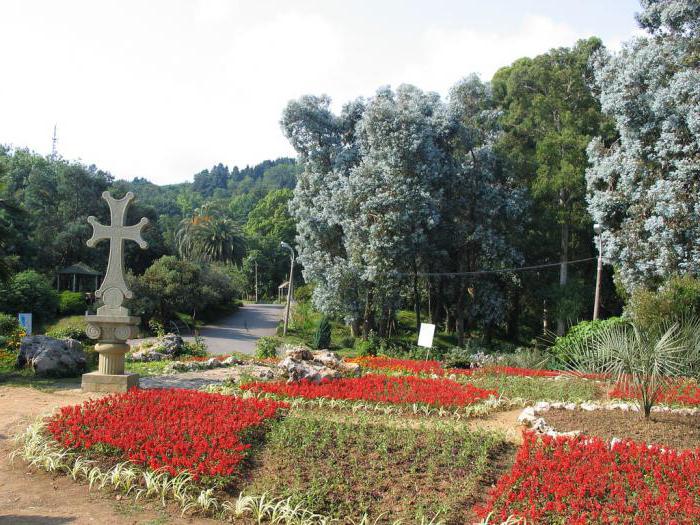 giardino botanico di Batumi come arrivare