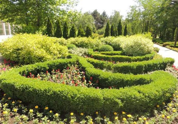 Krasnodar Arboretum Botanical Garden