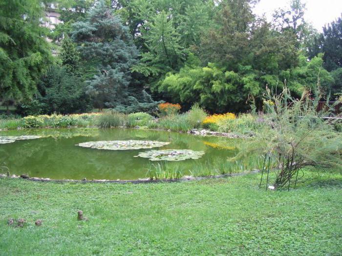 ботаничка башта самара Прице