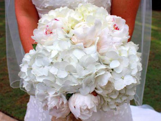 bouquet da sposa di ortensia